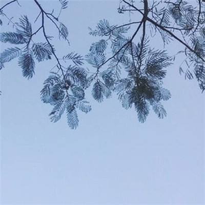 仙御奇缘手游下载
