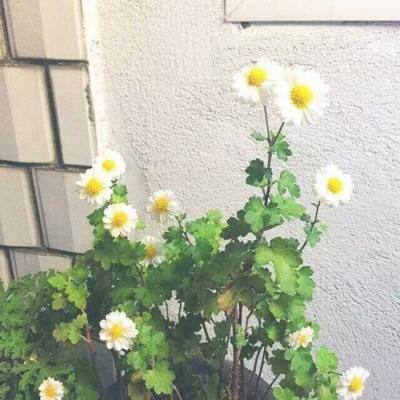 幻想水浒bt版手游下载